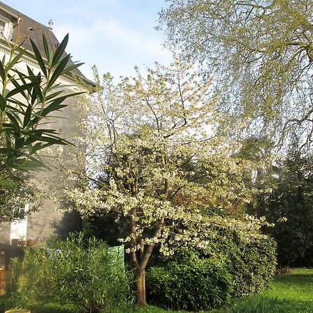 Dampierre 3* Pau