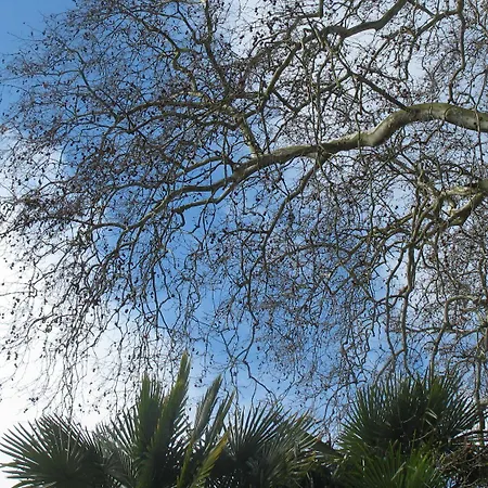 Dampierre فندق مبيت وإفطار