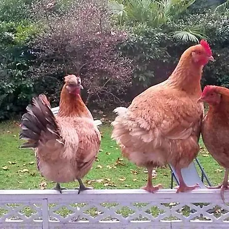 Frühstückspension Dampierre