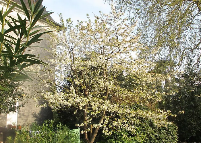 Dampierre 3* Pau