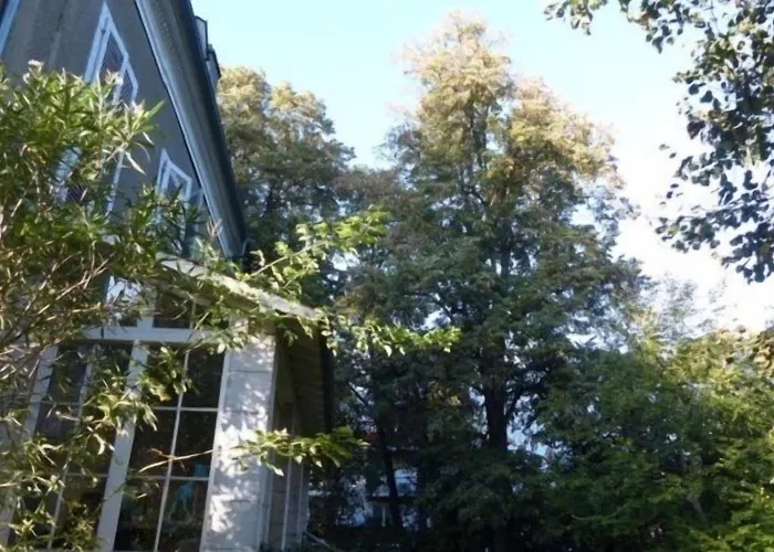 Dampierre Bed & Breakfast Pau