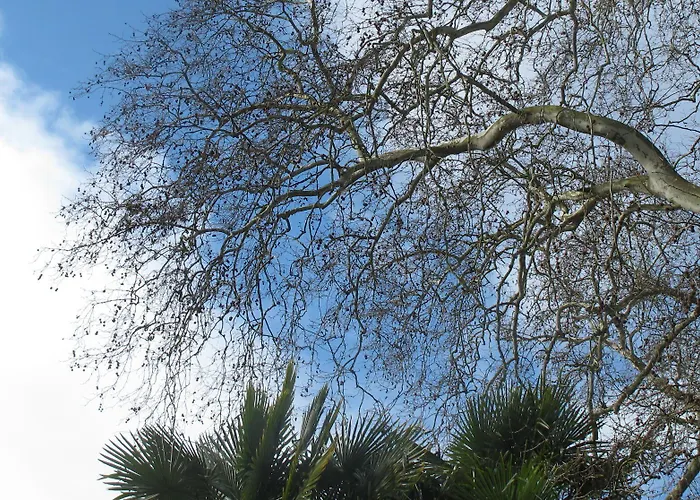 Dampierre ベッド・アンド・ブレックファスト