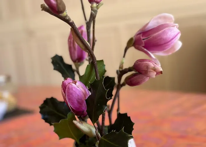 Alojamento de Acomodação e Pequeno-almoço Dampierre Pau